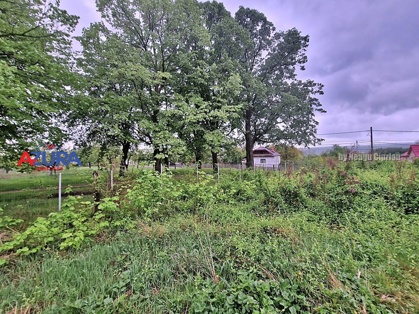 AZURA Imobiliare - Budeasa, Teren 5.069 mp, Casa BONUS - Poză 12