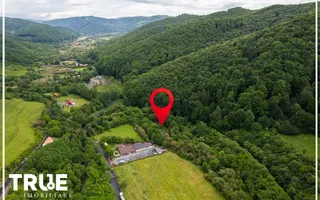 Teren intravilan 2.800 m² în Câmpu Cetății – liniște și natură - Poză 11