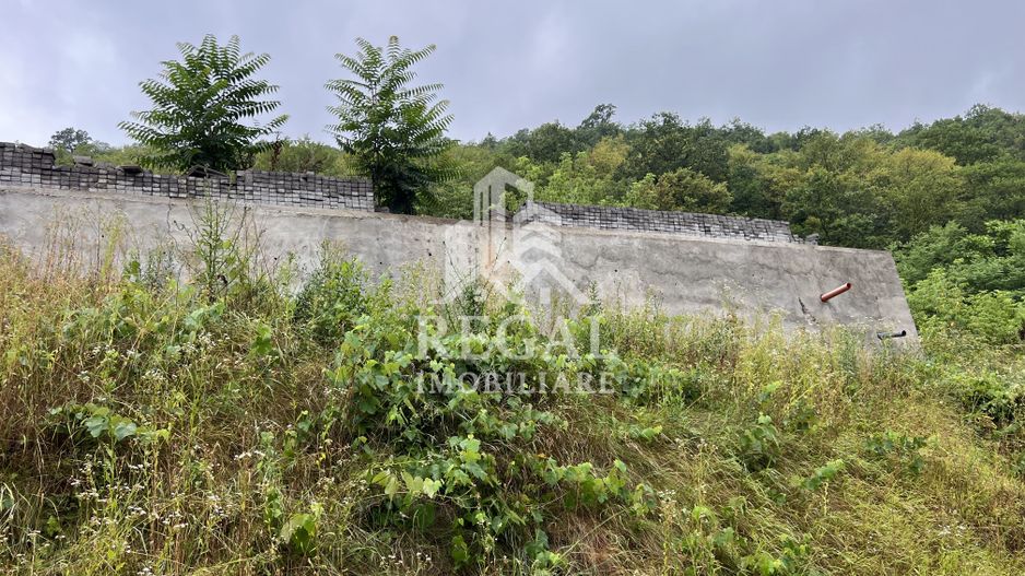 Proprietate cu potențial, într-un cadru natural de vis – 3581 mp teren - Poză 13
