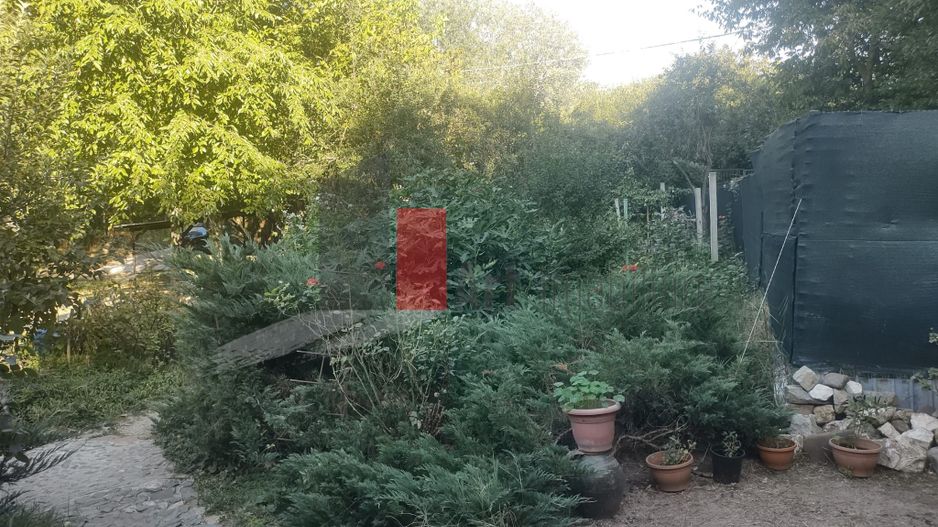 Vânzare teren intravilan Dărăști-Vlașca - Poză 1