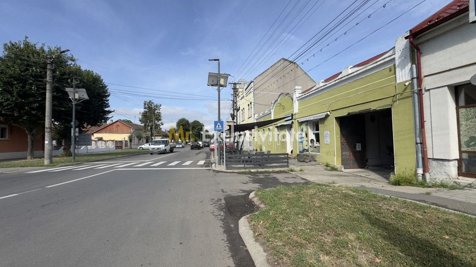 Inchiriere Spațiu Comercial 80 mp, Zona Kovi Ice - Str. Someș Nr. 12 Carei - Poză 8
