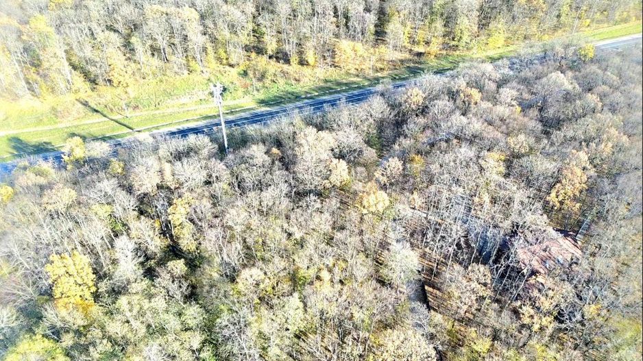 50 ari de Teren forestier si de recreere in Codri!! - Poză 3