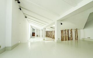 Vilă interbelică pentru birouri sau rezidență – Victoriei - Poză 7