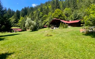Proprietate deosebita de vanzare – Voinesița, Comuna Voineasa - Poză 1