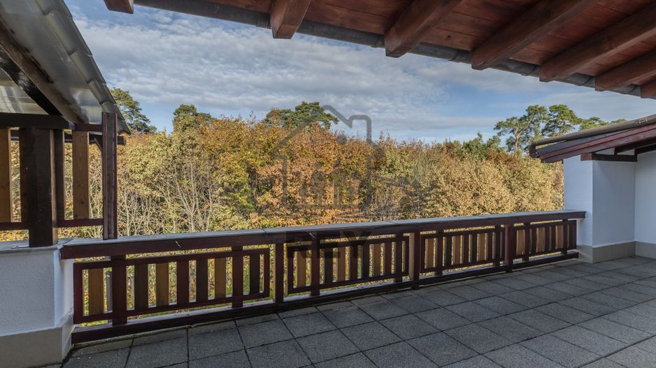 De Vânzare Vila Superba la liziera parcului Sub Arini - Poză 17