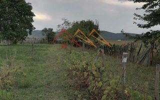 Casa rustica 3 camere, 4000 mp teren, cabana din lemn, pomi fructiferi - Poză 5