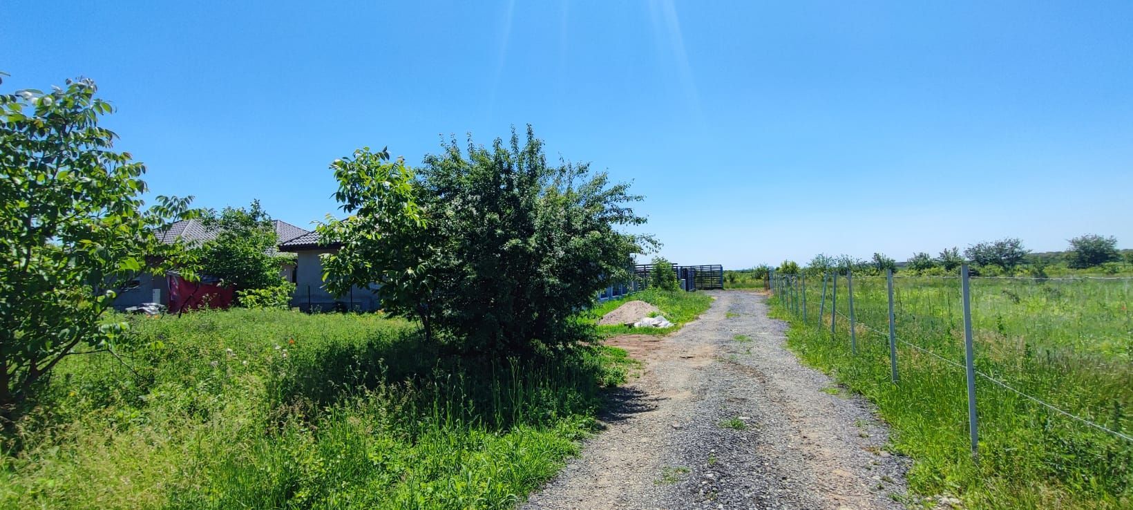Lot pentru două case – Corbeanca Tamași - Poză 14