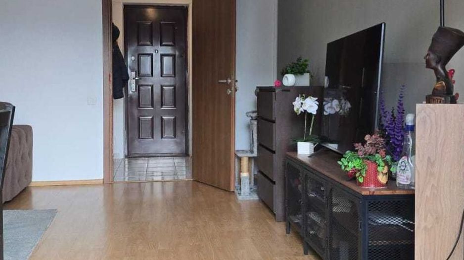 GARSONIERA COLENTINA, CENTRALA PROPRIE, PET-FRIENDLY, MOBILAT MODERN - Poză 6