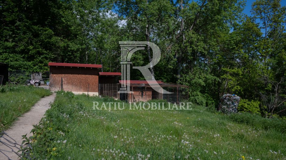 Proprietate Unică în Natură | Teren Mare + Intimitate Totală - Poză 4