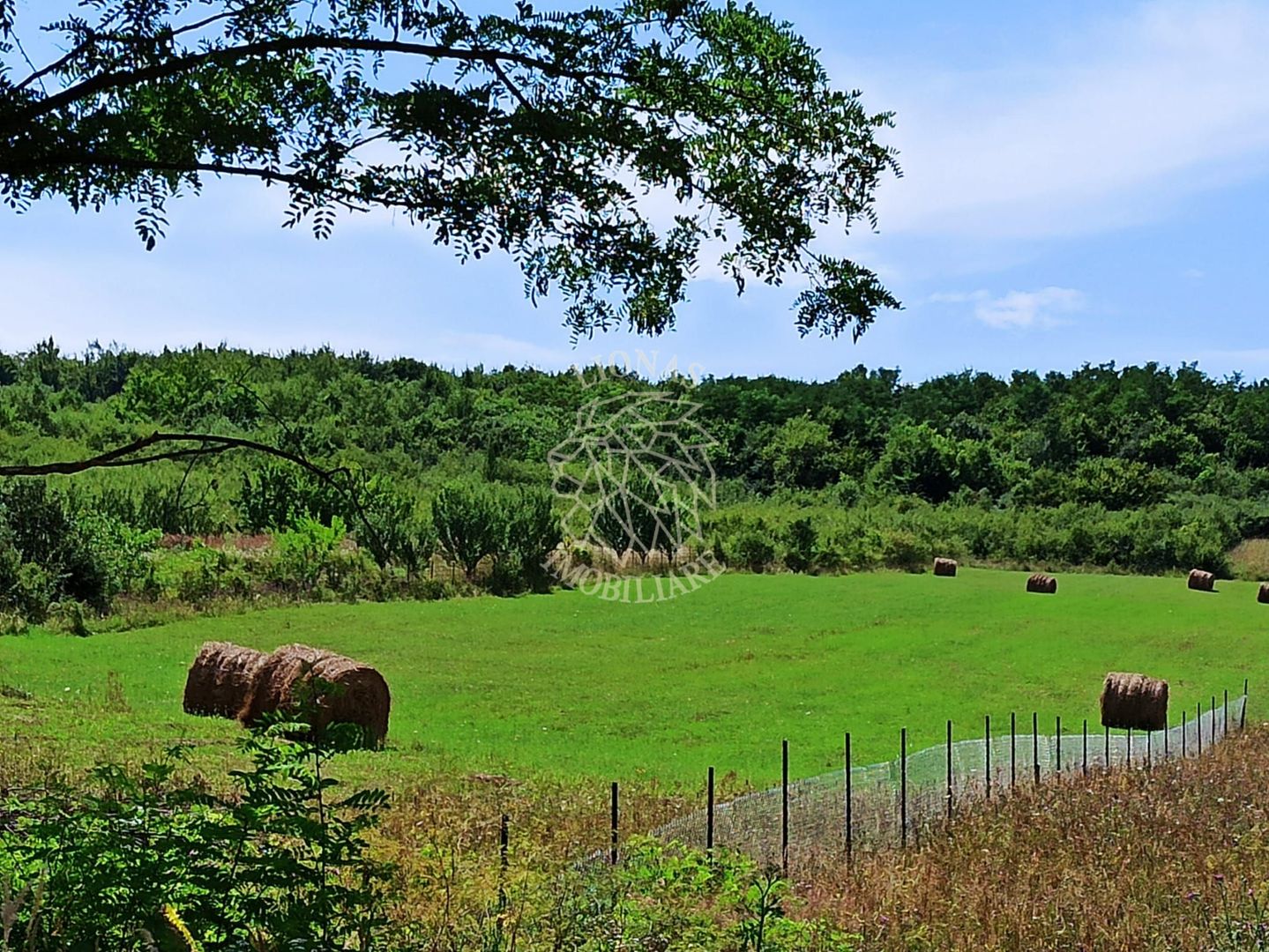 Parcele teren 4038 mp - Parcelabil - Zona Valea Stanelor - Poză 1
