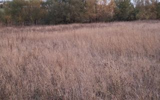 Teren extravilan | 3400 mp  | Hidiselul de Sus | Oradea | Bihor - Poză 3