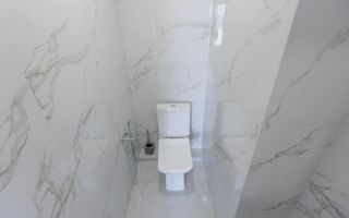 Chirie, apartament, 2 camere, bd. Renașterii Naționale, Râșcani - Poză 12