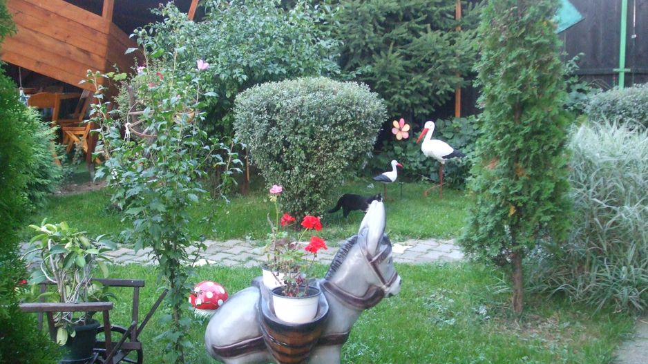 Vila individuala 3 camere Cristian, Brasov - Poză 15