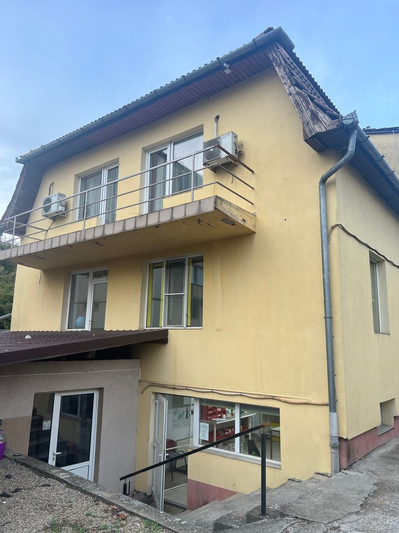 Imobil multifuncțional, 450 mp utili, teren 640 mp, Torontalului - Poză 1