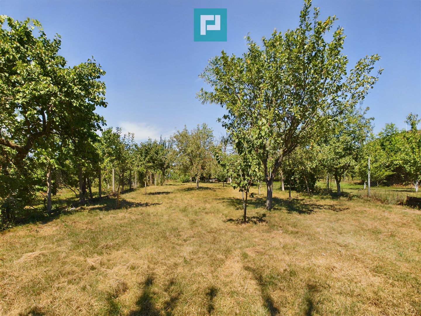 Casă stil conac pe drumul Cetății - Șiria - Poză 14