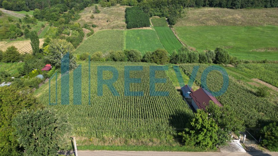 Teren intravilan de vânzare, Sat Bogdănști, Com. Traian - Poză 4