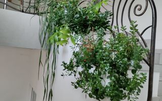 De inchiriat! Casa pretabila birouri, in Gruia - Poză 3