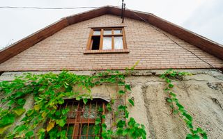 Lot pomicol de 6 ari în Ialoveni, cu construcție auxiliară. - Poză 6
