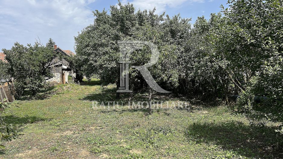 Casa de vacanta | Târgușor | Bihor - Poză 20