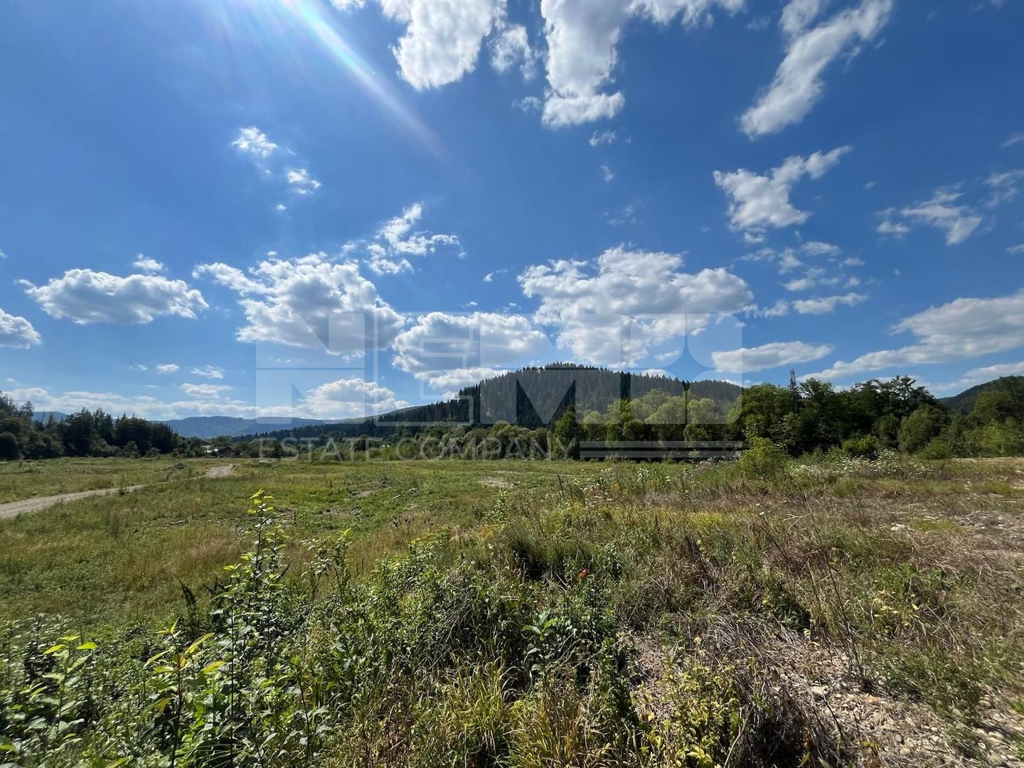 TEREN INTRAVILAN 2,26 HA | SUCEVITA | - Poză 5