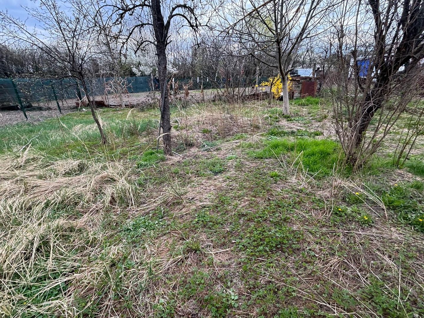 Casa pe parter cu acces auto - Poză 6