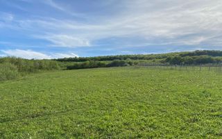 Teren 2160 mp - pretabil pentru cabana - investitie - Jelna - Poză 1