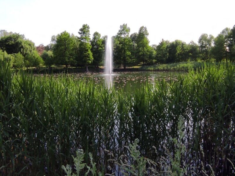 Lacul Tei Parcul Circului - Apt de inchiriat cu 2 camere - Poză 4