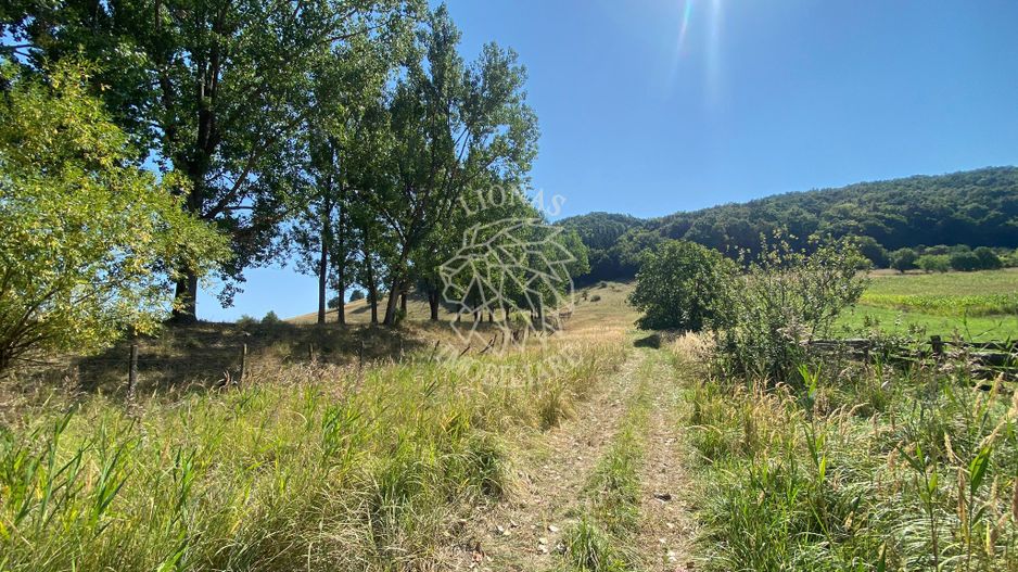 Teren intravilan 2600 mp - pretabil casa/investitie-Zona Aerodrom - Poză 5