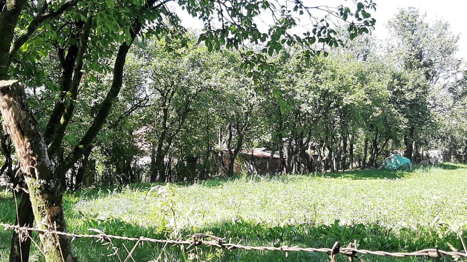 Casă si teren de vanzare in Rediu - Poză 2