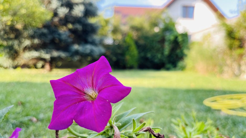 Casa individuala cu 4 dormitoare, 184 mp | Garaj & Gradina | Fropin - Poză 42