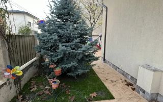 De închiriat Apartament 3 camere într-o vilă, zonă liniștită direct propietar - Poză 2
