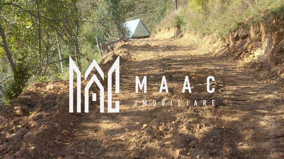 Super ofertă 35000 teren in Muntii Apuseni - Poză 33