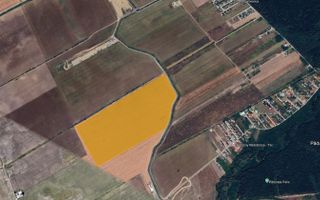 Teren 26 ha – Tamaș, Corbeanca - Poză 3