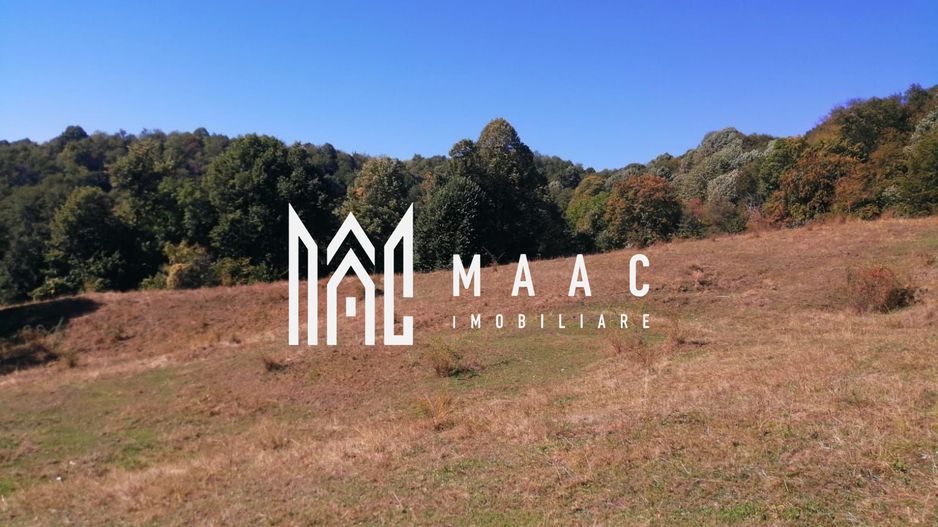 Teren Extravilan 20.000Mp I Stoenești -Vâlcea I Apă Curentă și Pădure - Poză 8