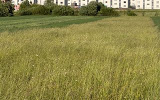Teren extravilan de vânzare în zona Osoi – 2.650 mp | Front 10 m - Poză 5