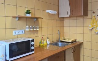 Inchiriere 2 Camere Dristor - Poză 7