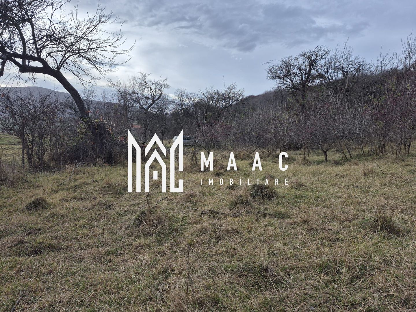 Teren de vanzare | Orlat | Extravilan - Poză 3