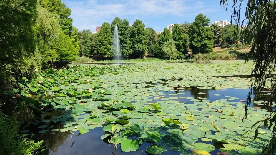 2 camere vedere Parcul Circului - parter | Lacul Tei-Barbu Vacarescu - Poză 11