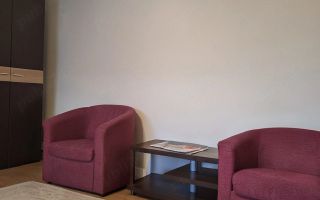 🏡 Apartament cu 1 camera Calea Sagului - Poză 4