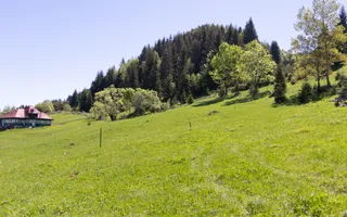 Fundata-Teren de vanzare 15,771 mp intravilan+extravilan+padure - Poză 12