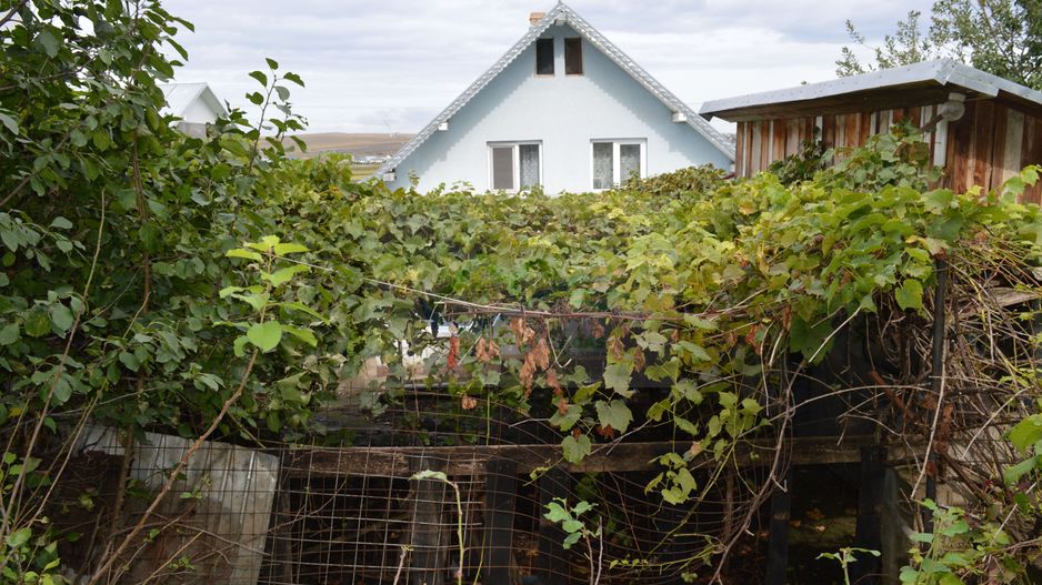 Casă de vânzare în Sfântu Ilie și teren 2000 mp - Poză 45