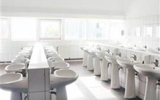 hale in parcul Roman sau tractorul - Poză 5