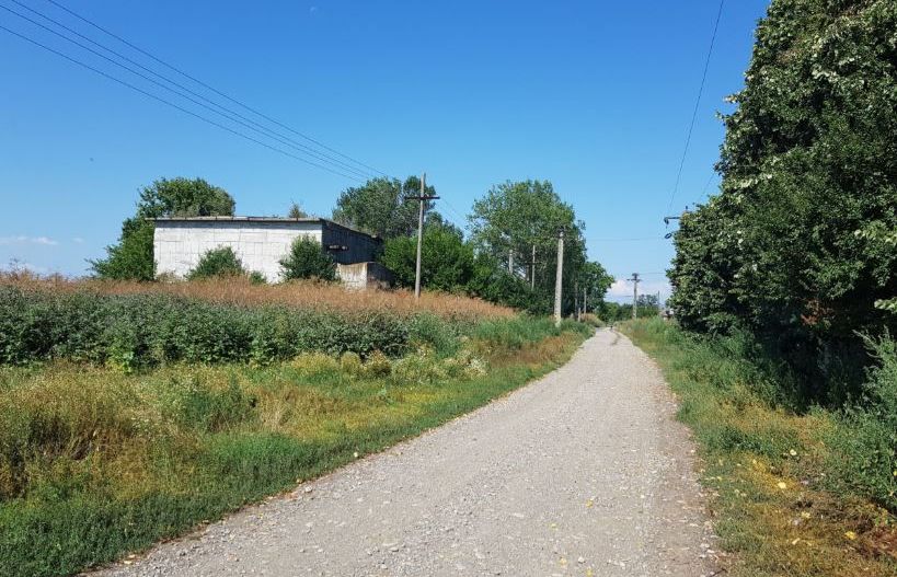 Ferma zootehnica Precistanu - Poză 3