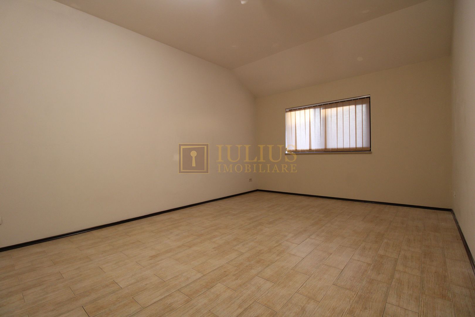 Cetatii; 5 camere, spatiu depozitare, garaj, curte, ideal pentru sediu firma. - Poză 14