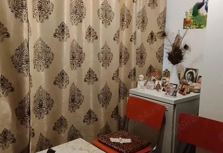 Apartament 1 camera Biziasului - Poză 7