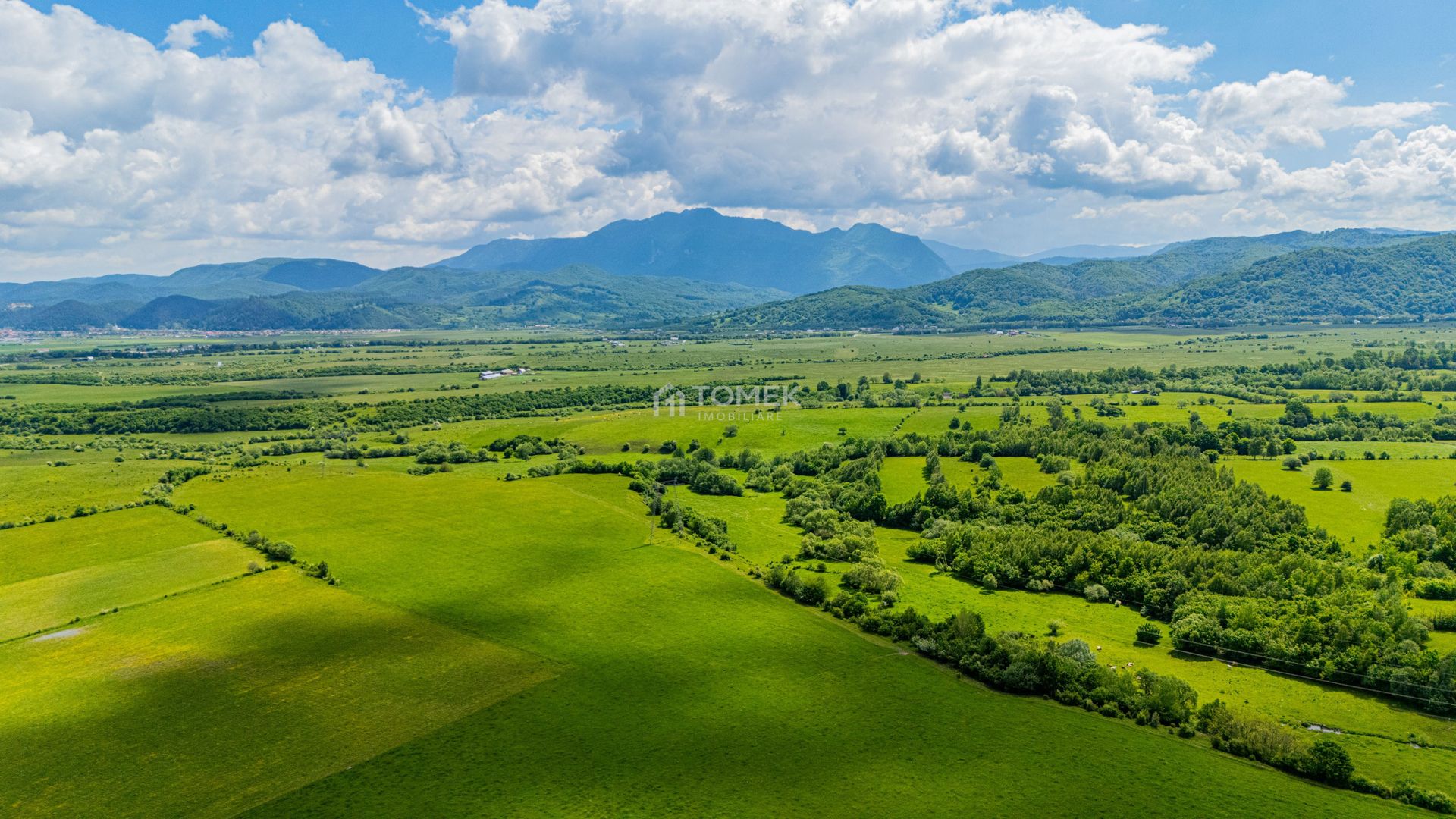 Teren de investiție în zona Tohanul Nou - Bran  5.800 mp - Poză 6