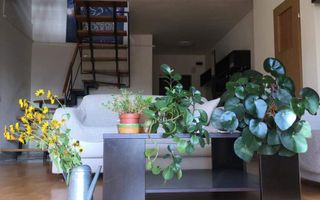 Apartament 4 camere de inchiriat Manastur zona Campului - Poză 8