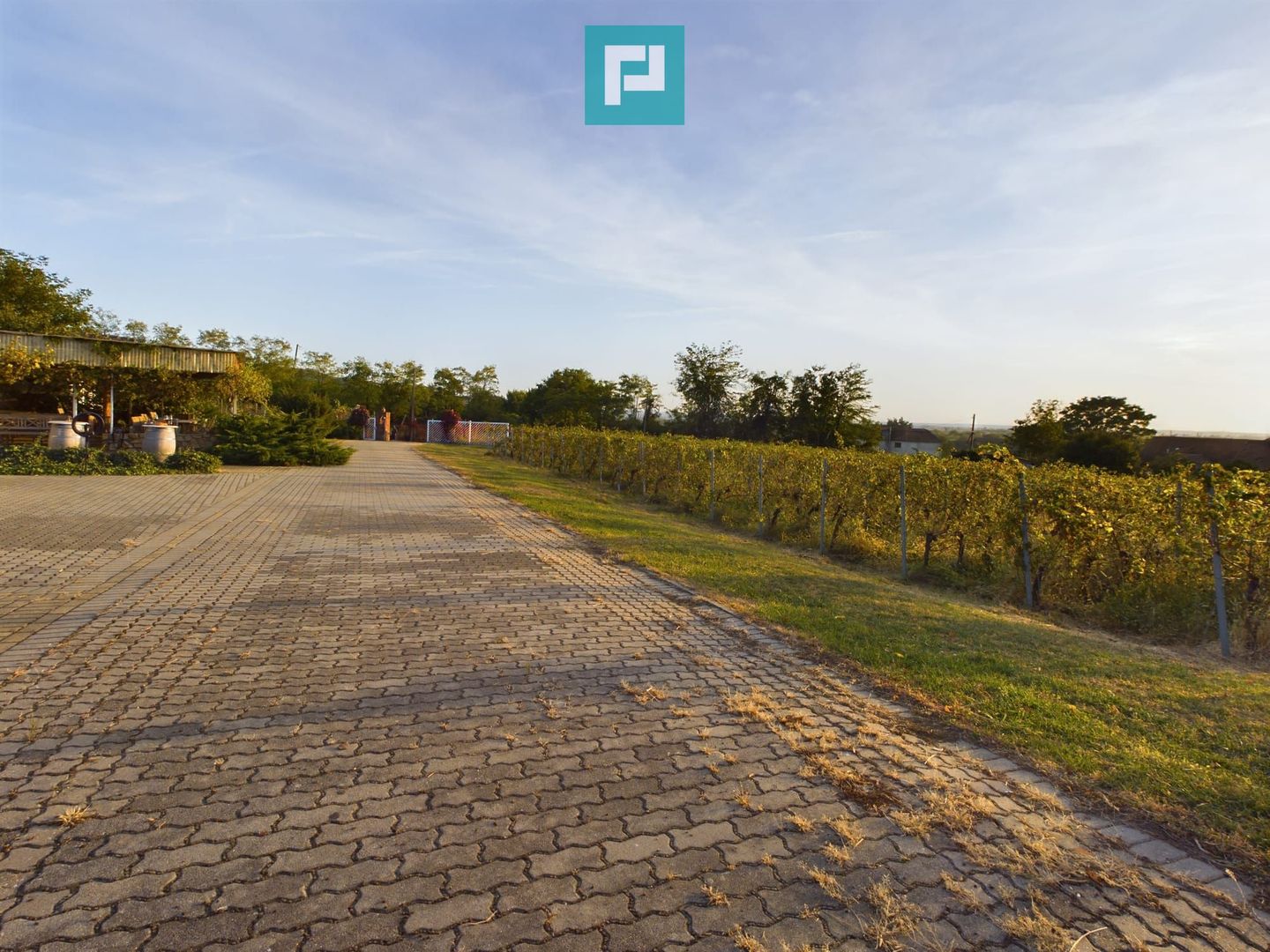 Spațiu comercial - Crama Pivnițele Birăuaș - Poză 24