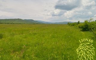 Teren 13100 mp-parcelabil-ideal cabana/agricultura-Orheiul Bistritei - Poză 4