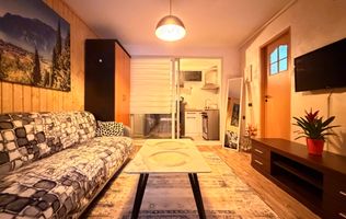 2 Camere Ultracentral | Zona Ferdinand | Modern | Curte comună